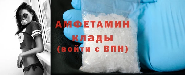 шишки Алексин