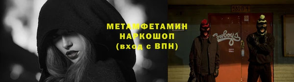 шишки Алексин