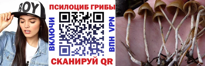 Псилоцибиновые грибы ЛСД Макушино